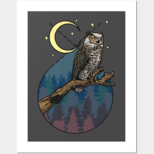 Owllie Posters and Art